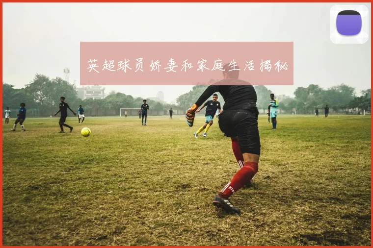英超球员娇妻和家庭生活揭秘