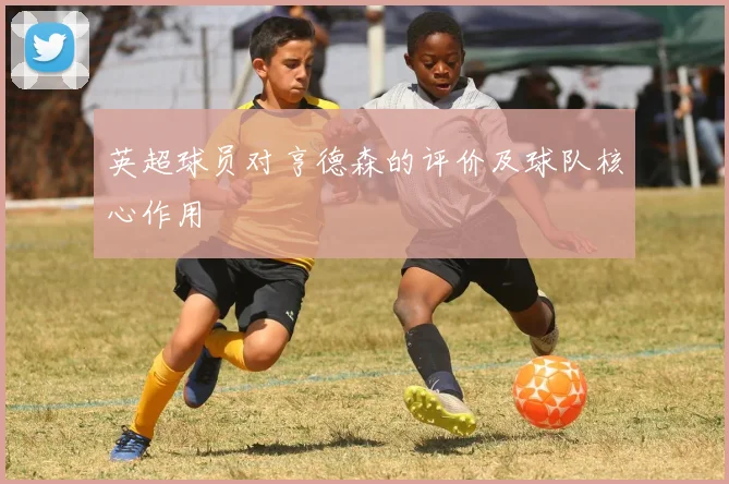 英超球员对亨德森的评价及球队核心作用